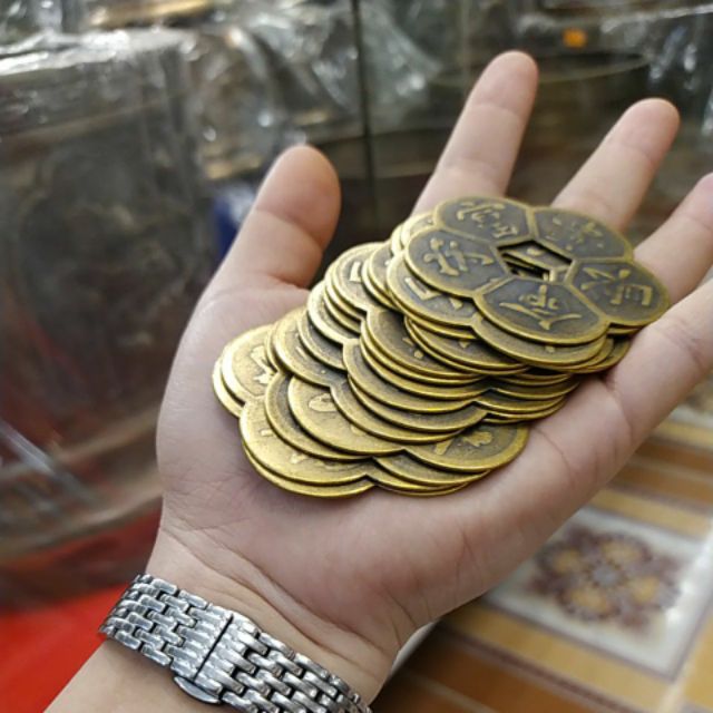 Đồng Tiền Hoa Mai Phong Thủy May Mắn - Mai Hoa Kim Tiền - Ảnh 2