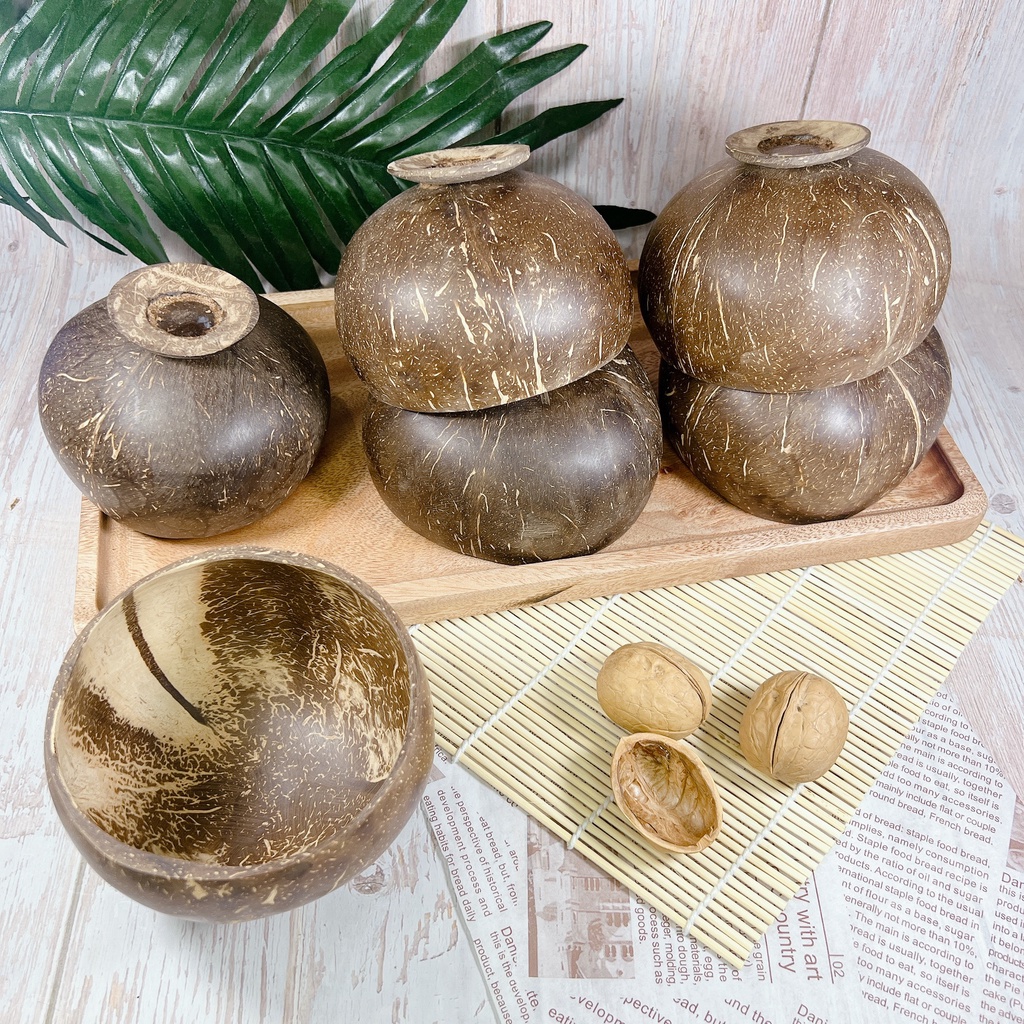 Bát Chén Gáo Dừa cao cấp dùng ăn Salad, hoa quả dầm - Ảnh 2