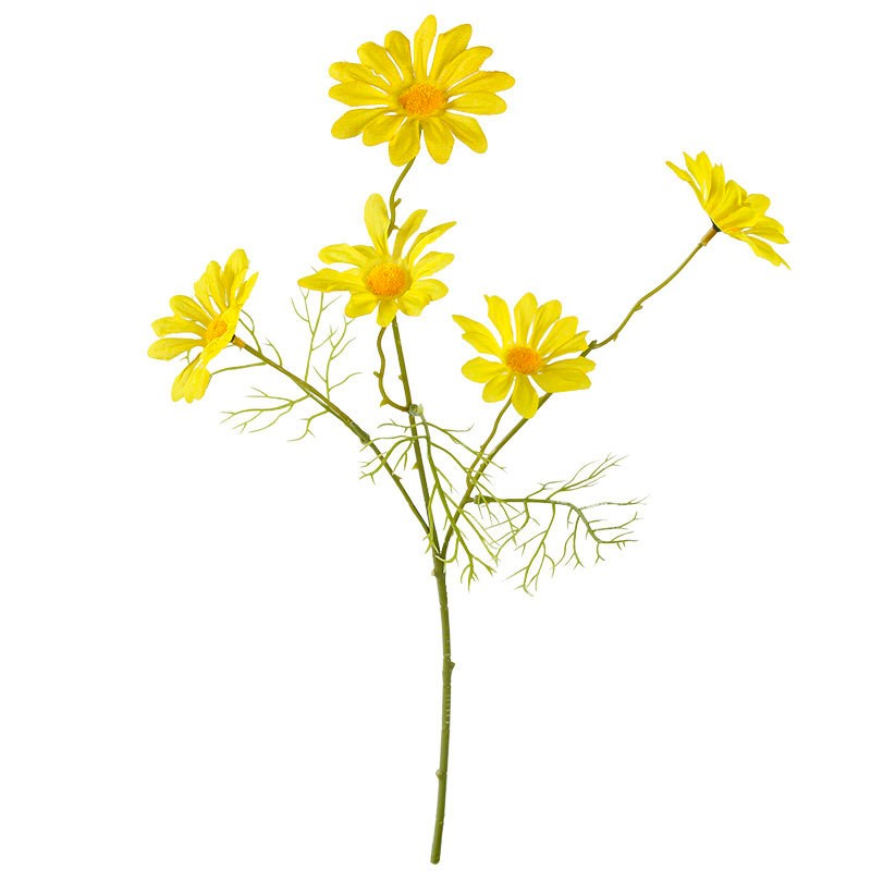 Hoa cúc hoạ mi, tulip, mẫu đơn Trang Trí decor nhà cửa chụp ảnh siêu đẹp - Ảnh 2