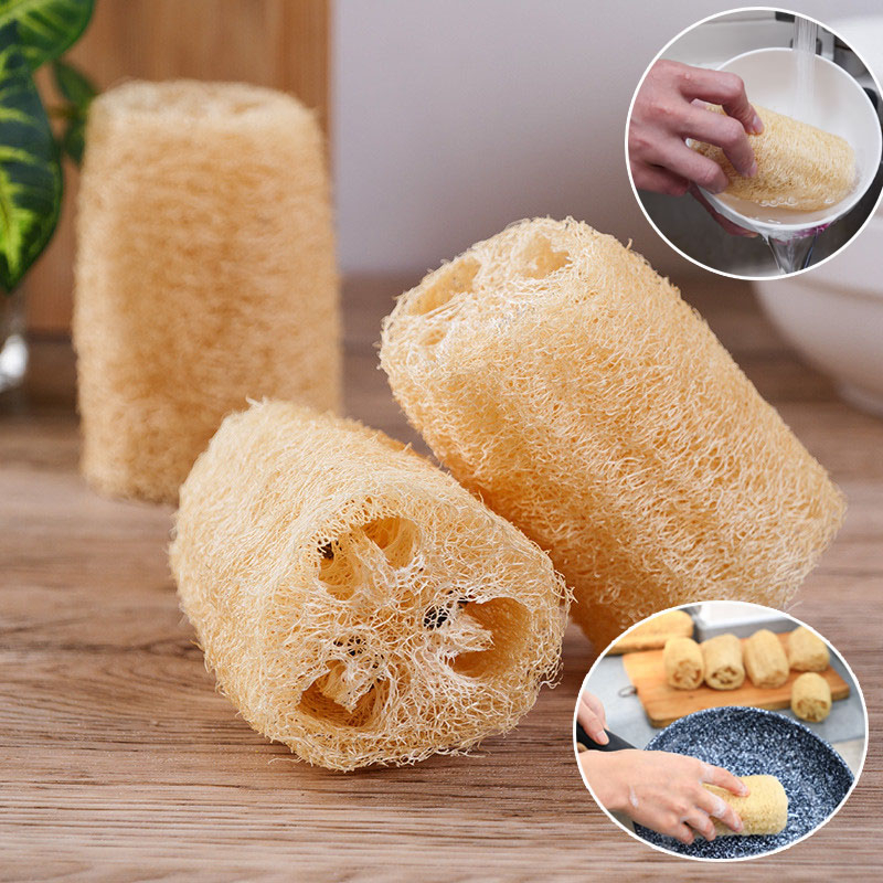 XƠ MƯỚP KHÔ Tắm Tẩy Tế Bào Chết, Sơ mướp Rửa Chén - Ảnh 9