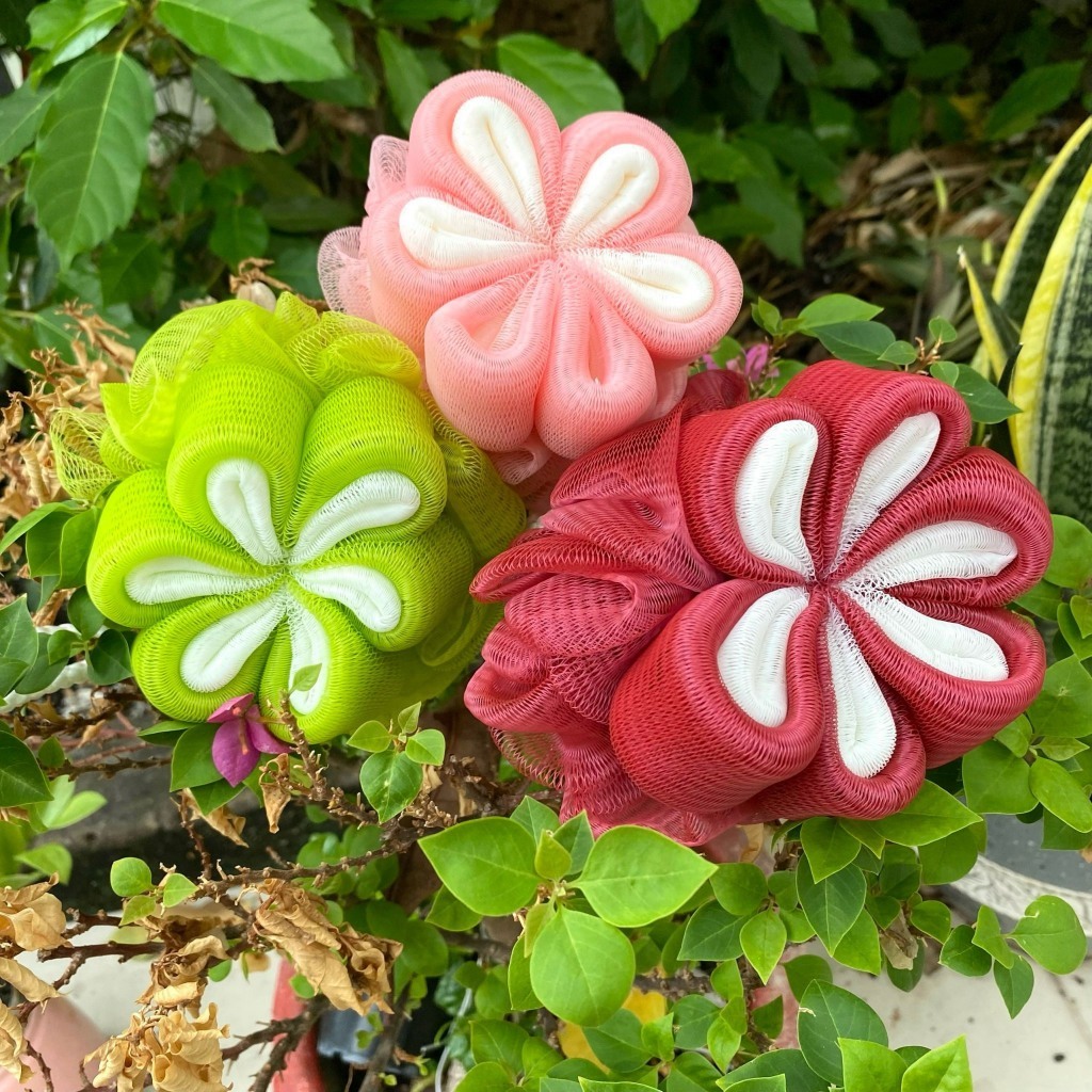 Bông tắm tạo bọt HOA MAI 6 CÁNH, bông tắm siêu sạch, tẩy tế bào chết - Ảnh 7