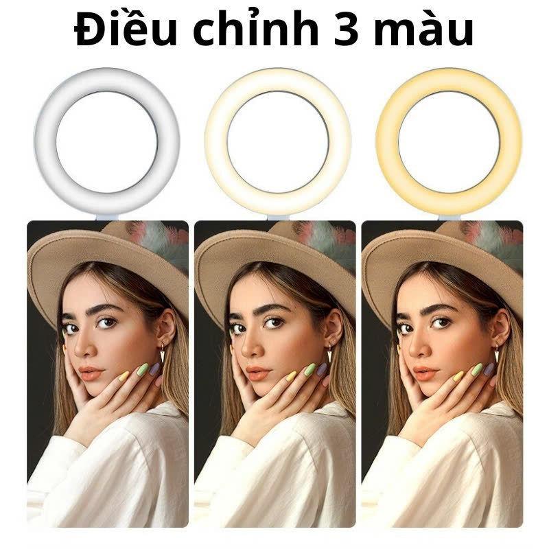 Đèn livestream để bàn có hai kẹp điện thoại 3 chế độ màu điều chỉnh ánh sáng hỗ trợ bán hàng+quay video+học tập - Ảnh 3